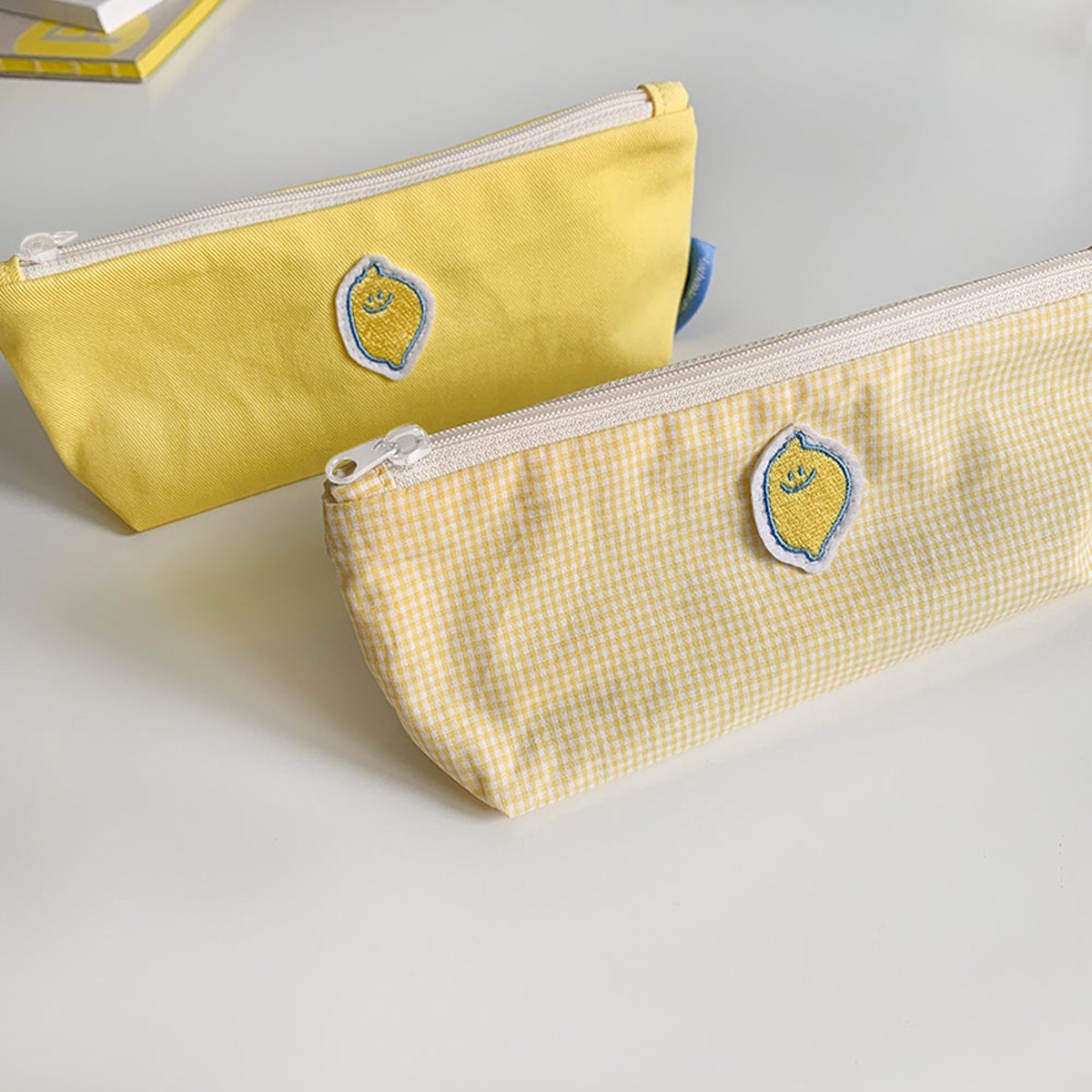 Second Morning Lemony Pen Case (2)