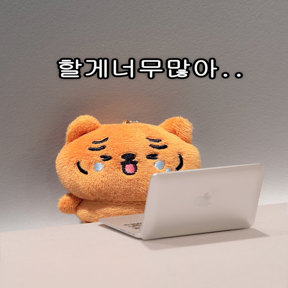95Muzik Tiger Teary Friends Mini Keyring