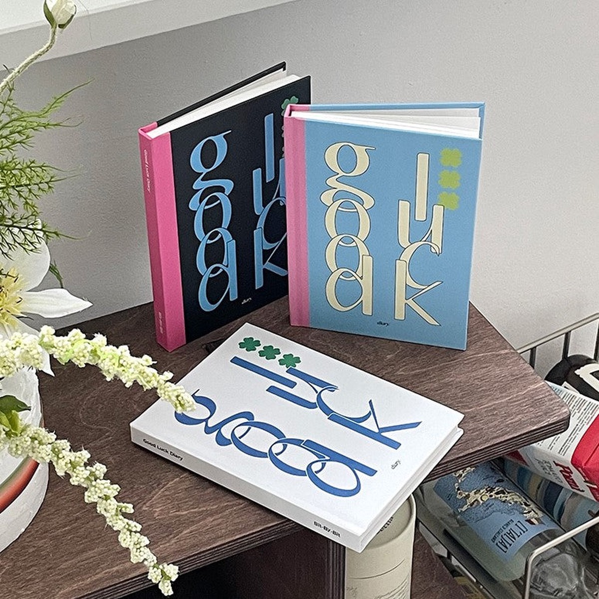 Bit by bit Good Luck Diary (12 Months) (3)
